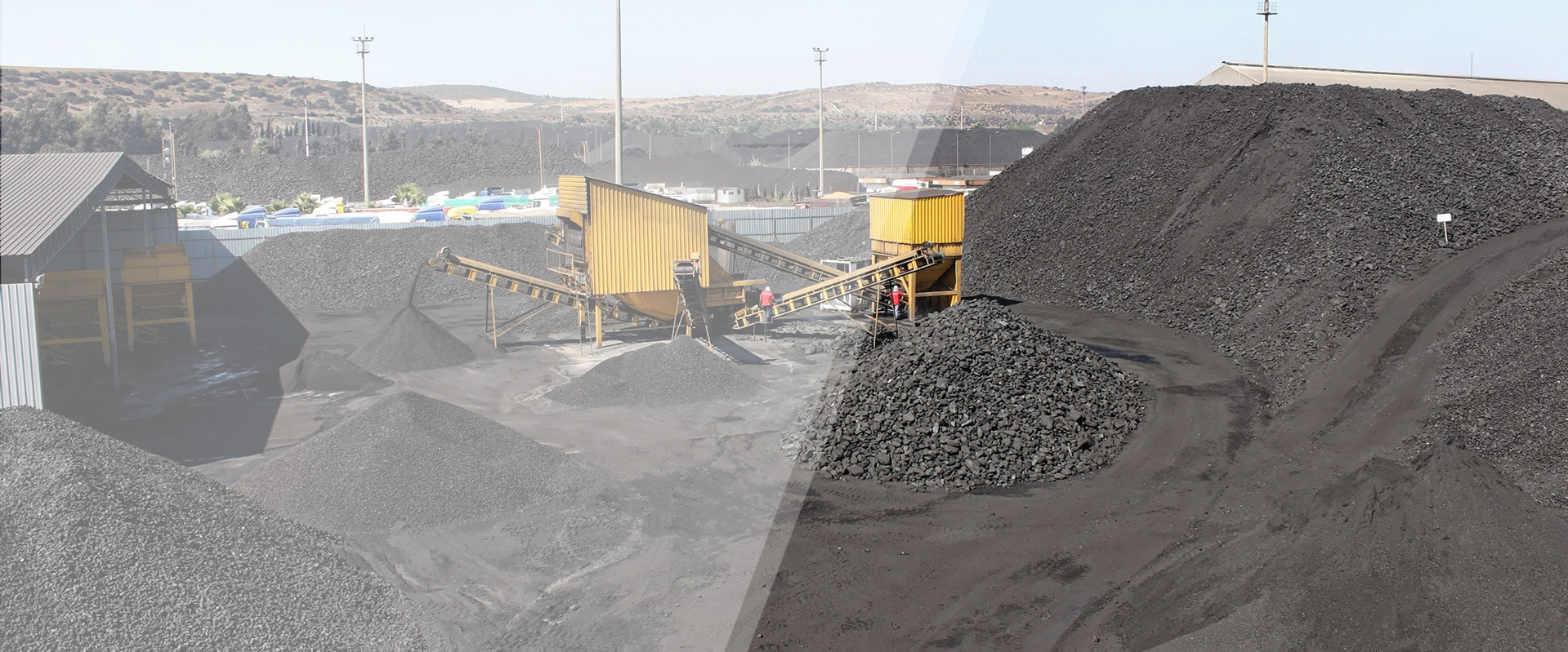 Şahyak Coal