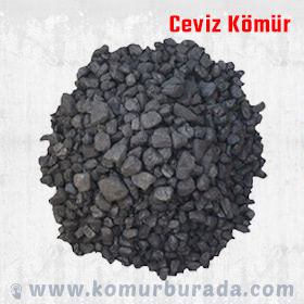 Paşa Fındık Kömür
