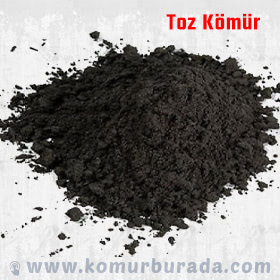 Paşa Toz Kömür